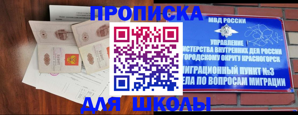 прописка поиск в Зее